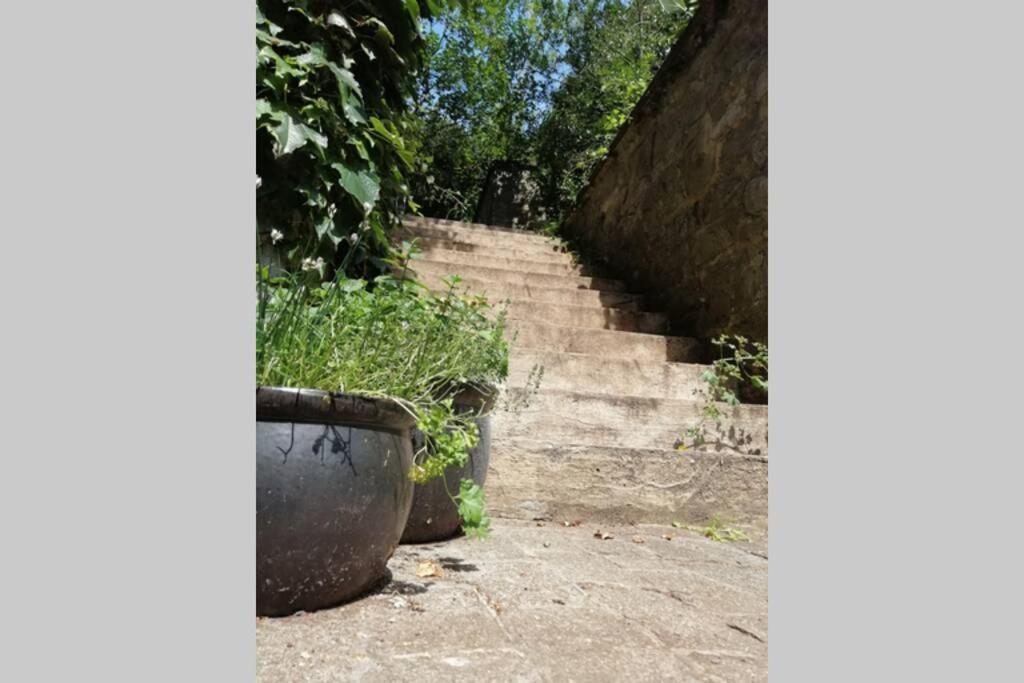 La Belle Vigne Διαμέρισμα Ναμούρ Εξωτερικό φωτογραφία