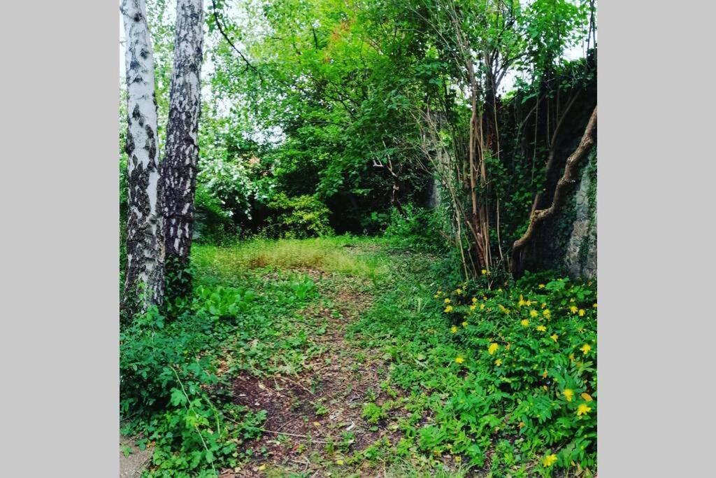 La Belle Vigne Διαμέρισμα Ναμούρ Εξωτερικό φωτογραφία
