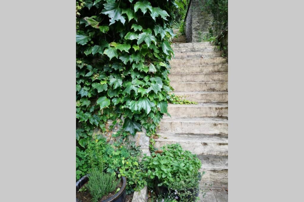 La Belle Vigne Διαμέρισμα Ναμούρ Εξωτερικό φωτογραφία