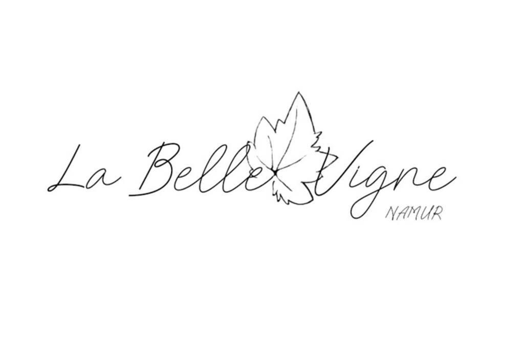 La Belle Vigne Διαμέρισμα Ναμούρ Εξωτερικό φωτογραφία