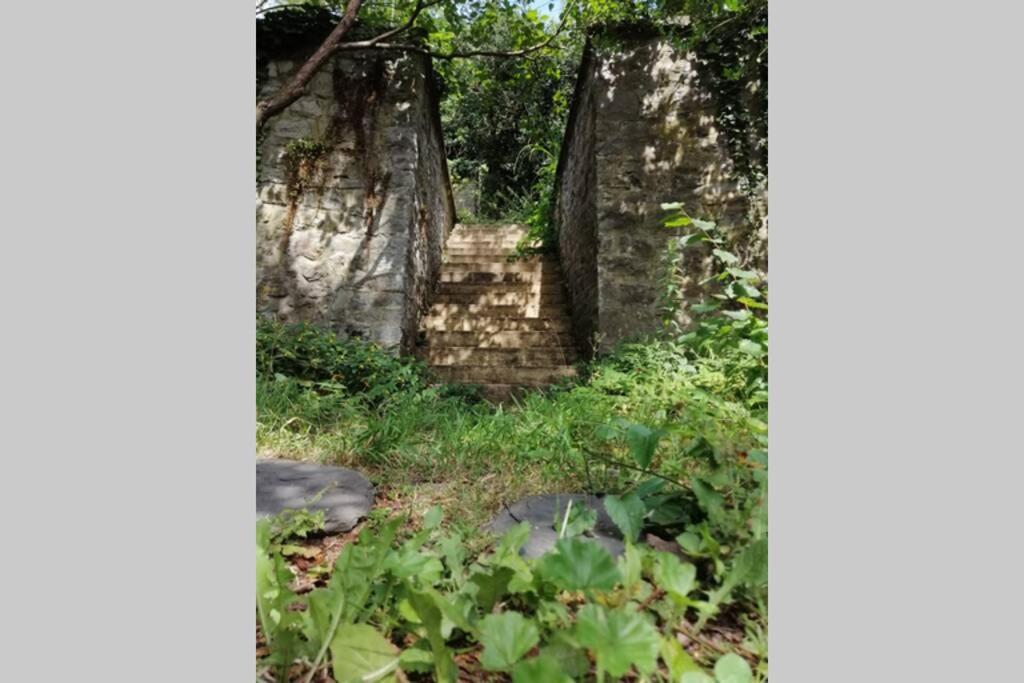 La Belle Vigne Διαμέρισμα Ναμούρ Εξωτερικό φωτογραφία